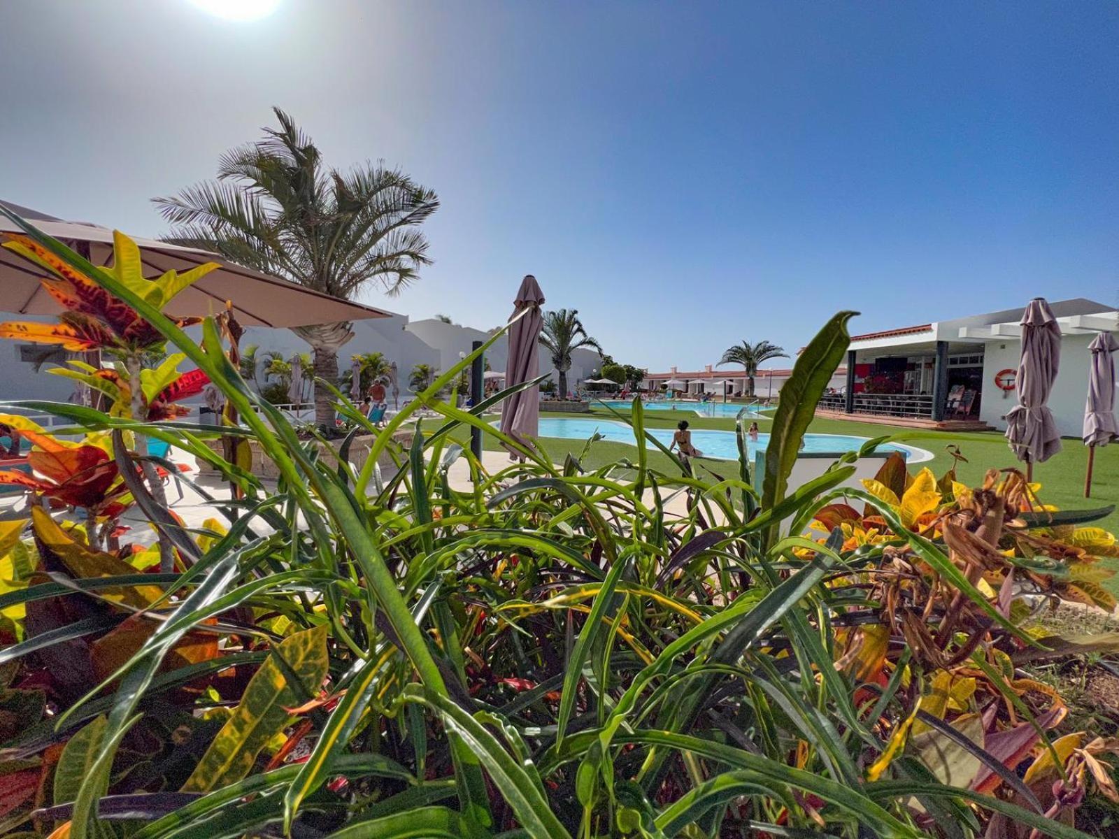 Malibu Park Apartments Sol Costa Adeje  Ngoại thất bức ảnh
